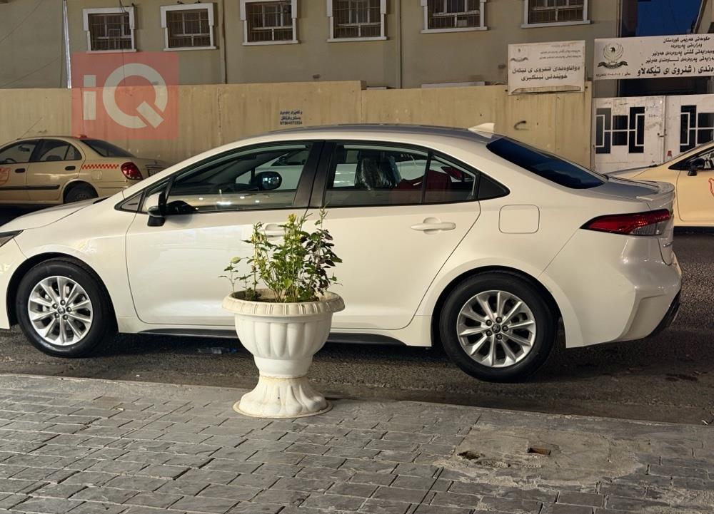 تويوتا كورولا